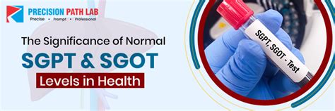 Ultimate SGPT and SGOT Guide: Symptoms, Levels, and More.